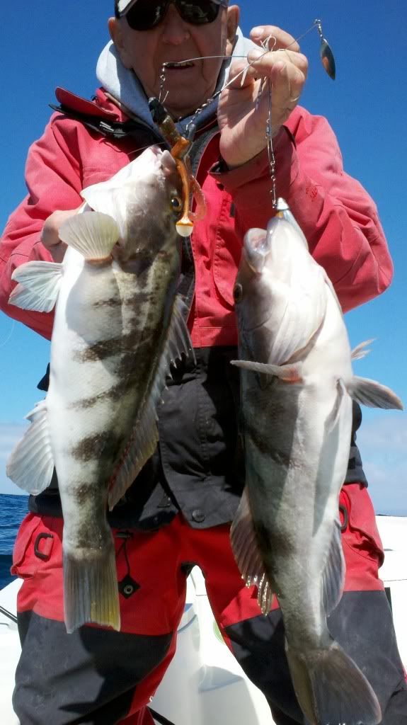 Trip Jig caught Sand Bass, Uploaded from the Photobucket Android App