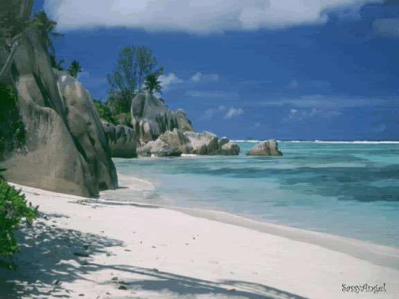 Animated Gifs Beach