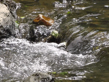 Calming the mind - waterfall images