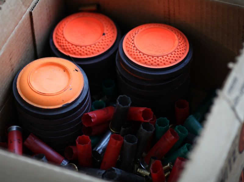 IMAGE: http://i998.photobucket.com/albums/af105/pbsteve77/clay1of1.jpg