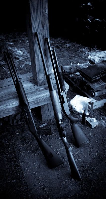 IMAGE: http://i998.photobucket.com/albums/af105/pbsteve77/shotty11of1.jpg