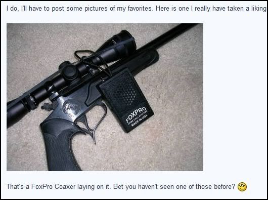 Capture.jpg