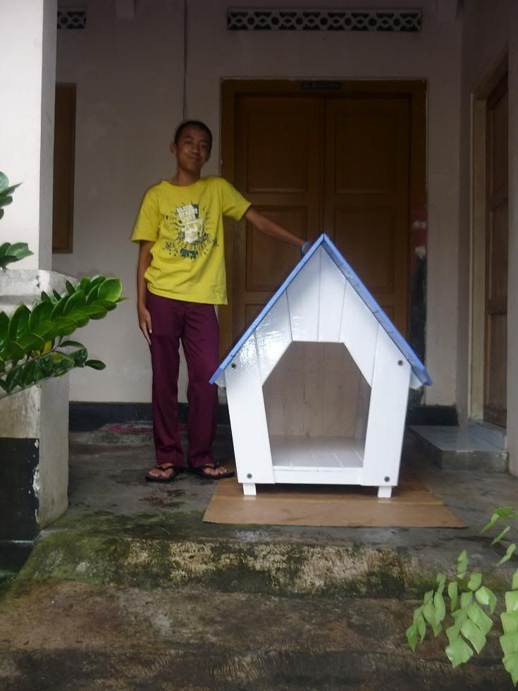 jual kandang anjing murah kayu jati belanda dan bagus bentuknya kaskus archive jual kandang anjing murah kayu jati belanda dan bagus bentuknya kaskus archive