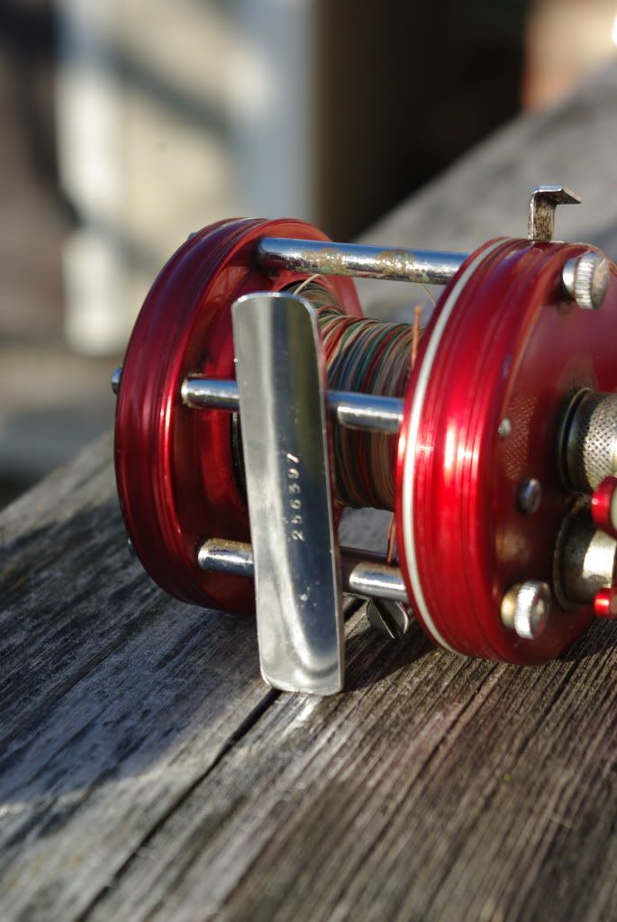 ABU 5000 Expert Needed - Reel Talk - ORCA
