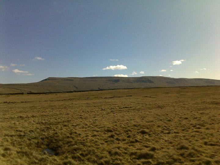 200369_10150117851262405_2307642_n_zpsa8a15c55.jpg