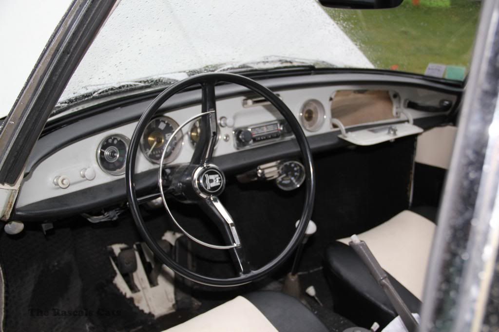 Image may have been reduced in size. Click image to view fullscreen.