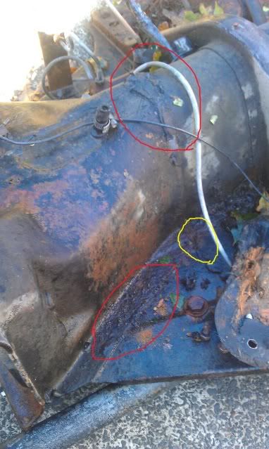 Image may have been reduced in size. Click image to view fullscreen.