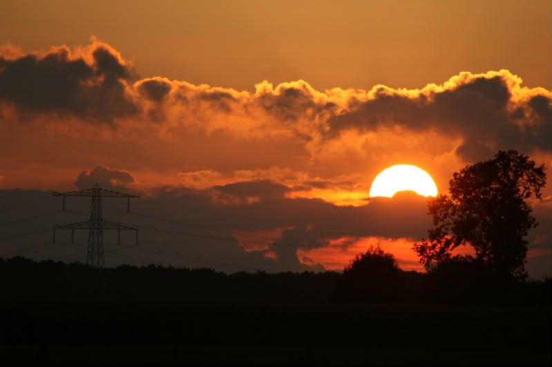 Fotografie