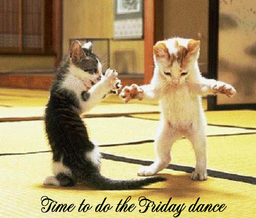 time to do the friday dance Friday Animal