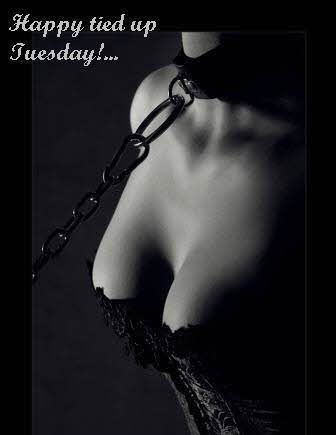 happy tied up tuesday