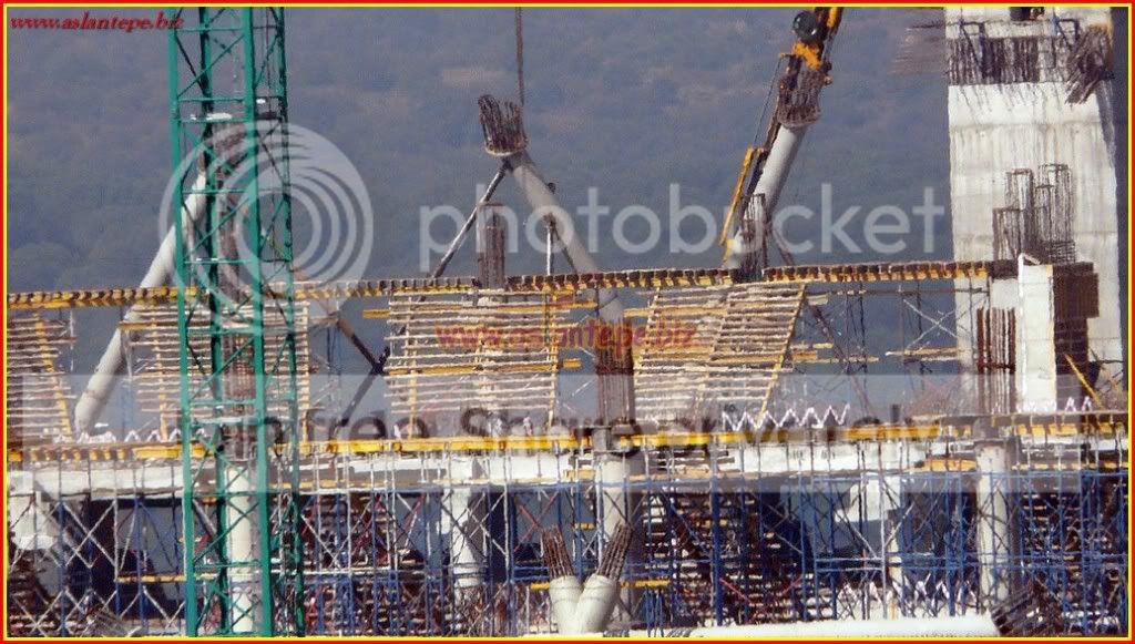 ttarena-005.jpg