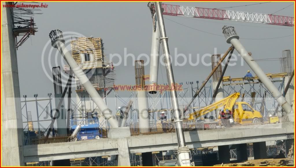 ttarena-024.jpg