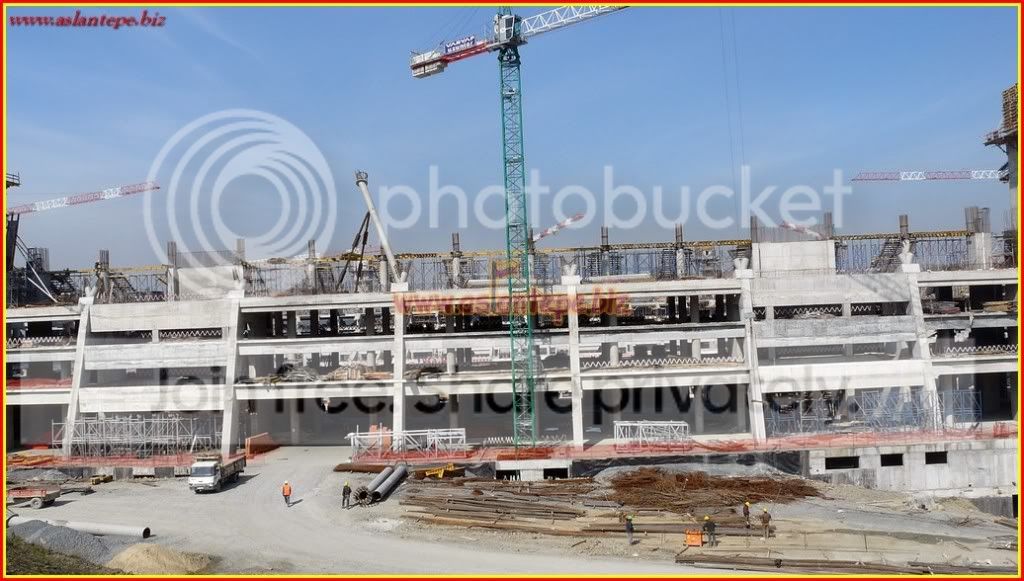 ttarena-045.jpg