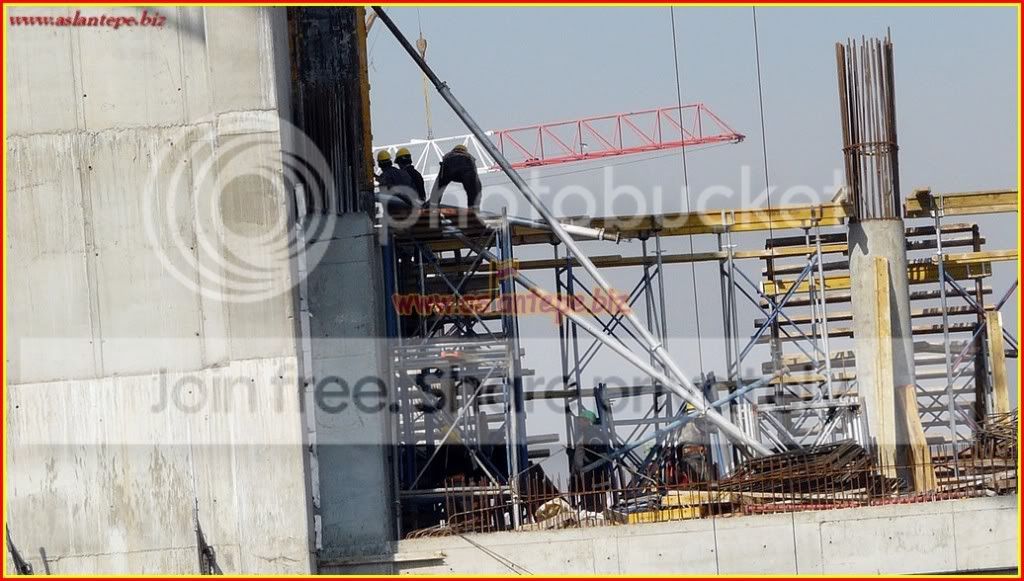 ttarena-059.jpg