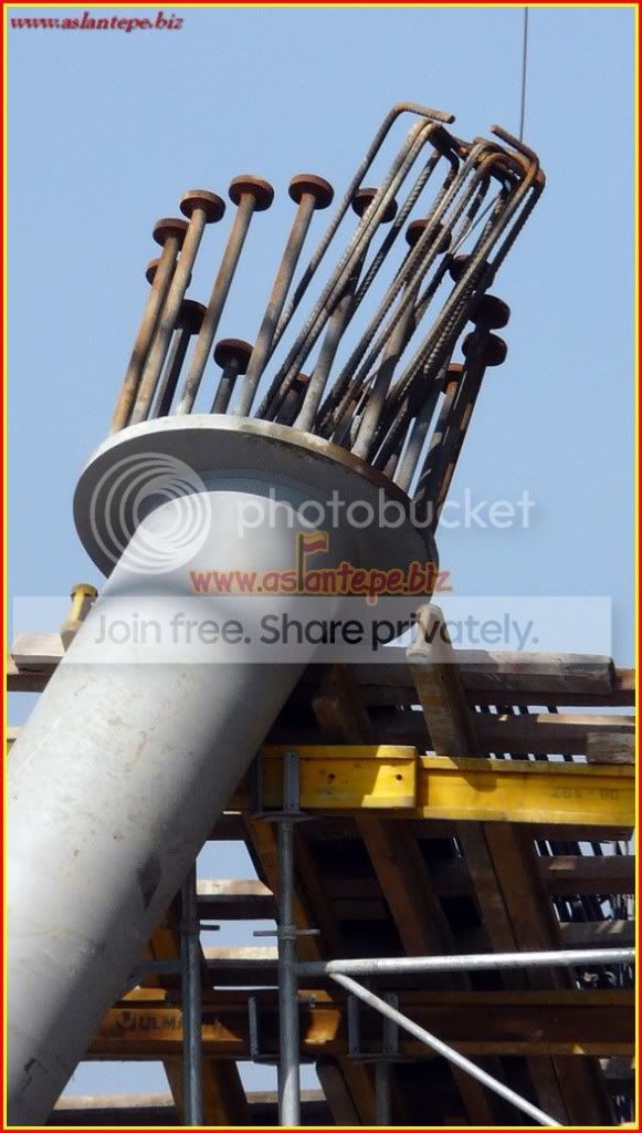 ttarena-062.jpg