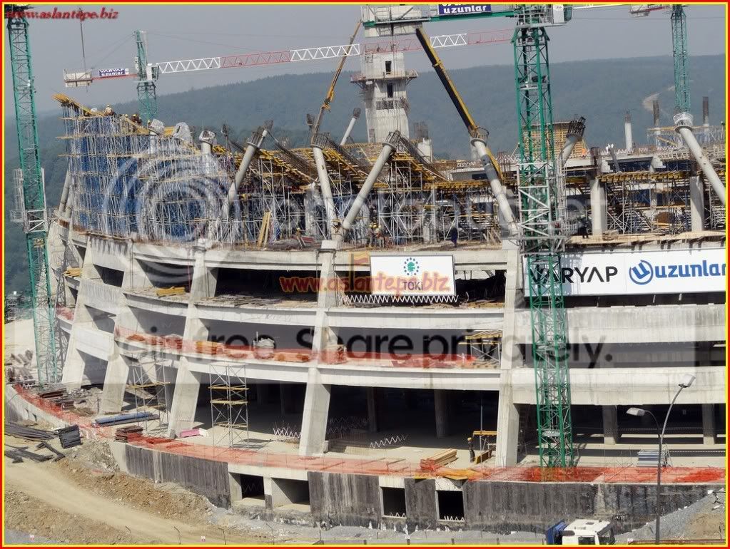 ttarena-080.jpg