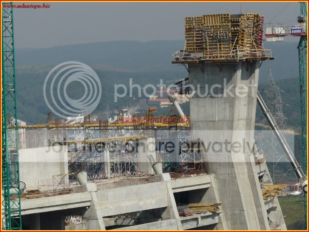 ttarena-082.jpg