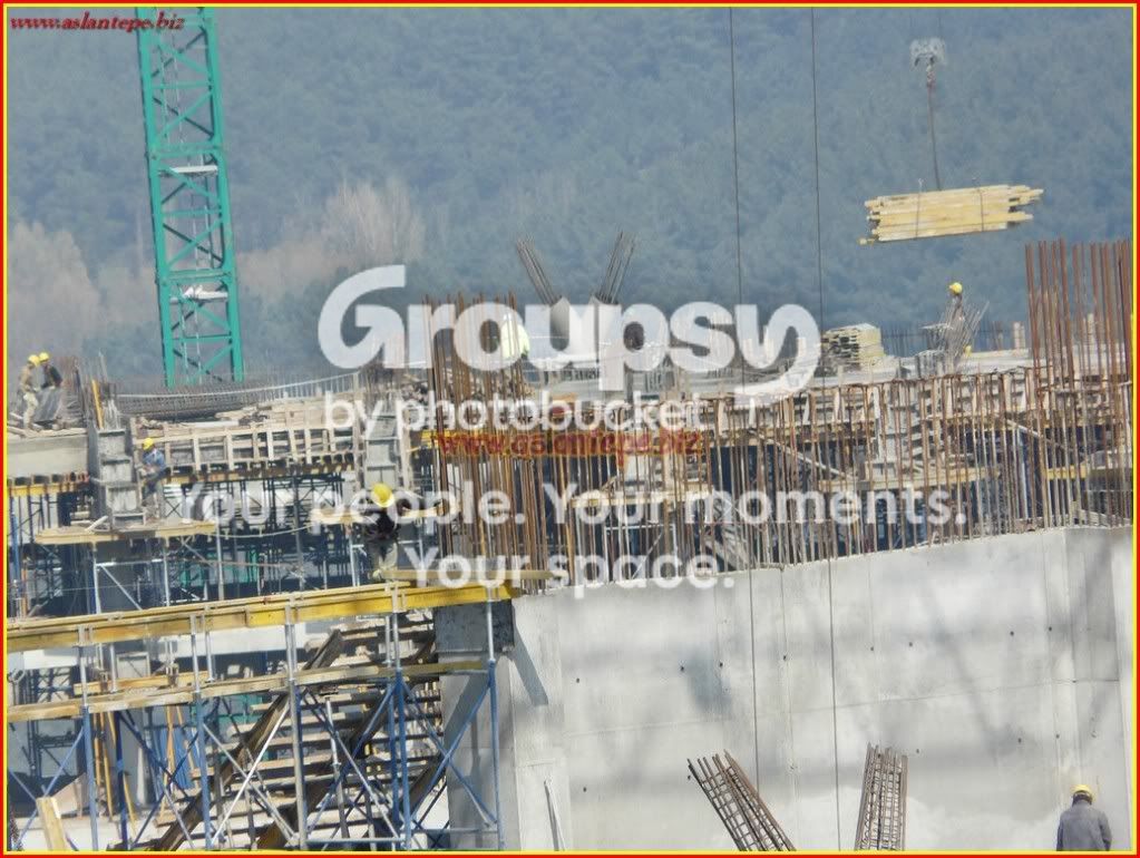 ttarena-085.jpg